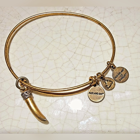 Alex & Ani bronze tone horn vitality adjustable bangle bracelet - Picture 2 of 3